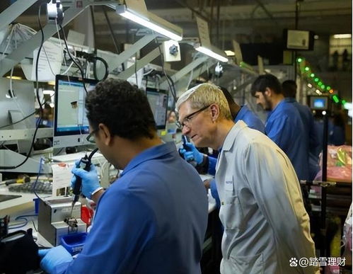 苹果印度工厂全面撤退 库克不得不接受的现实